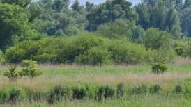 2022-06-03 dordrecht 168